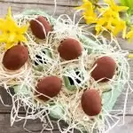 Stamppot rode kool met gehakthachee