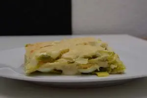 Lasagne met prei maar zonder vlees