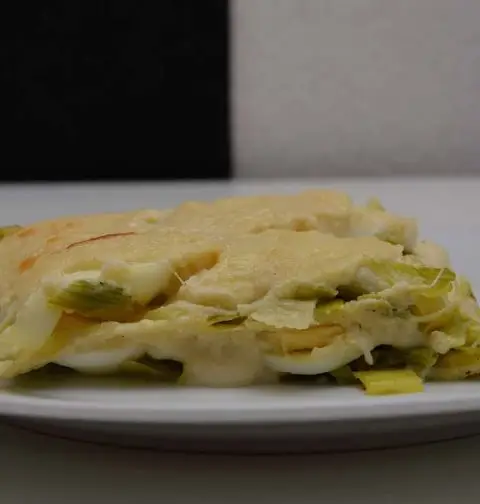 Lasagne met prei maar zonder vlees