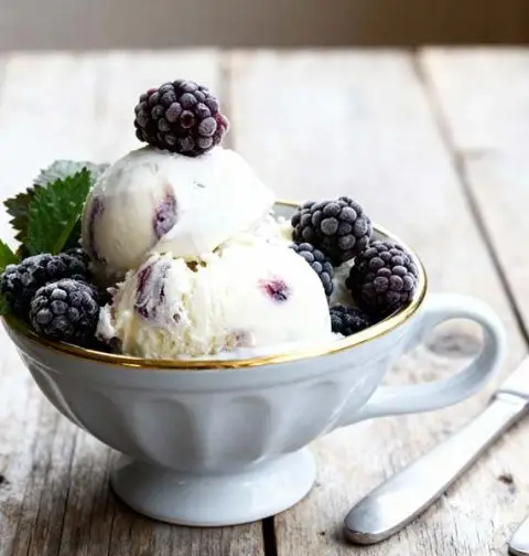 Yoghurtijs met bramen en munt