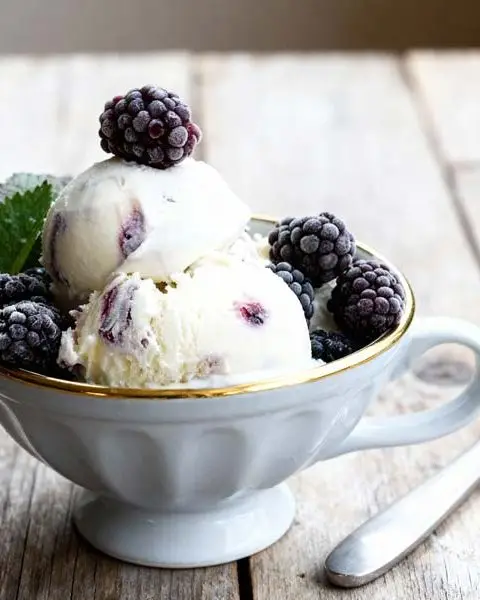 Yoghurtijs met bramen en munt