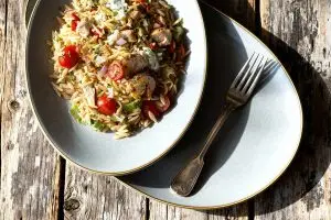 Orzo salade met kip